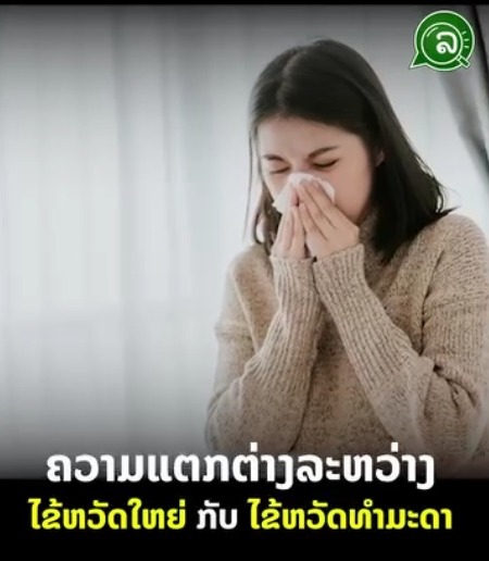 ຄວາມແຕກຕ່າງລະຫວ່າງ ໄຂ້ຫວັດໃຫຍ່ ກັບ ໄຂ້ຫວັດທຳມະດາ.