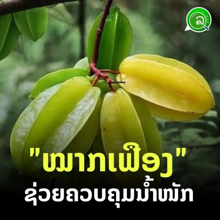 ໝາກເຟືອງ ຊ່ວຍຄວບຄຸມນໍ້າໜັກ