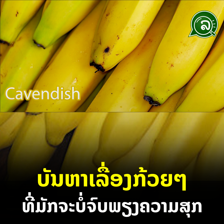 ບັນຫາເລື່ອງກ້ວຍໆ ທີ່ມັກຈະບໍ່ຈົບພຽງຄວາມສຸກ