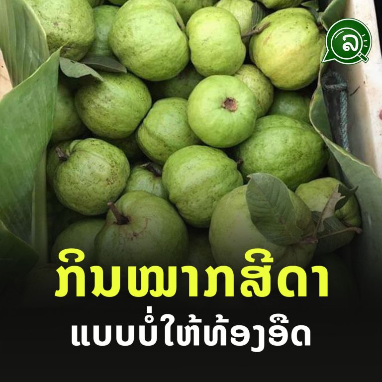 ກິນໝາກສີດາ ແບບບໍ່ໃຫ້ທ້ອງອືດ