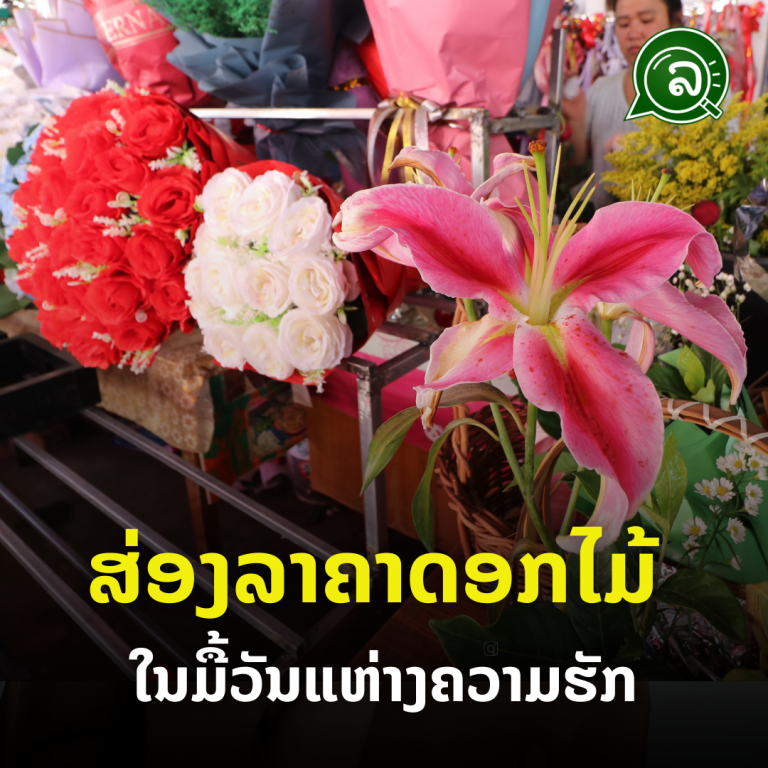ສ່ອງເບິ່ງລາຄາດອກໄມ້! ໃນມື້ວັນແຫ່ງຄວາມຮັກ